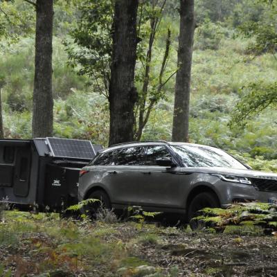 Trailer Liberty Wicker 4